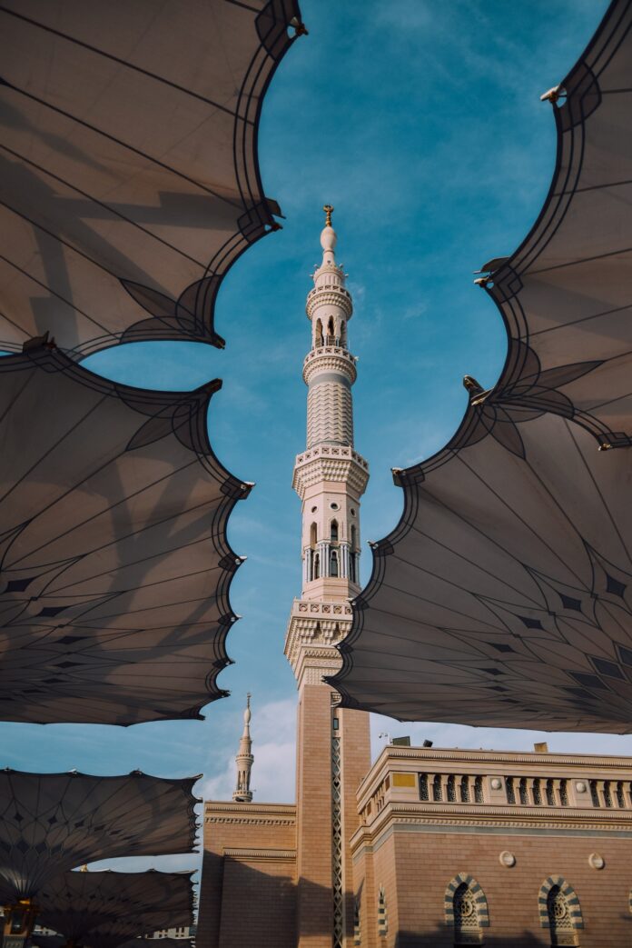 yasmine-arfaoui-R6rh5ttDO-4-unsplash